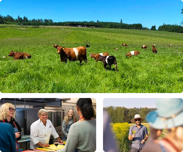 About Carnation Farms