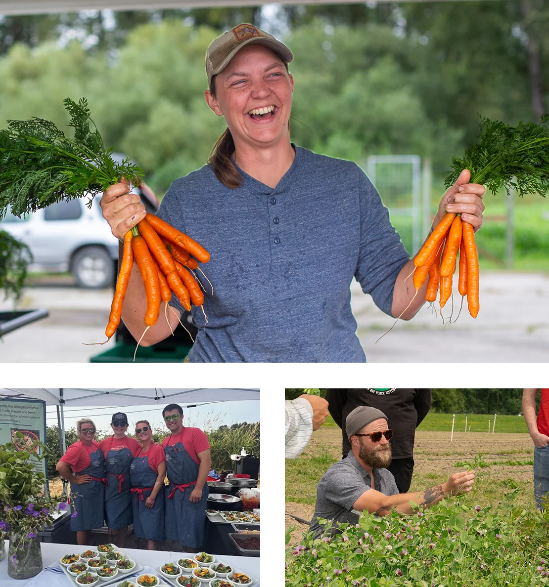 Careers - Grow Here Careers - Grow Here