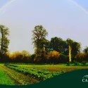 Carnation Farms field with rainbow showing regenerative agriculture landscape.