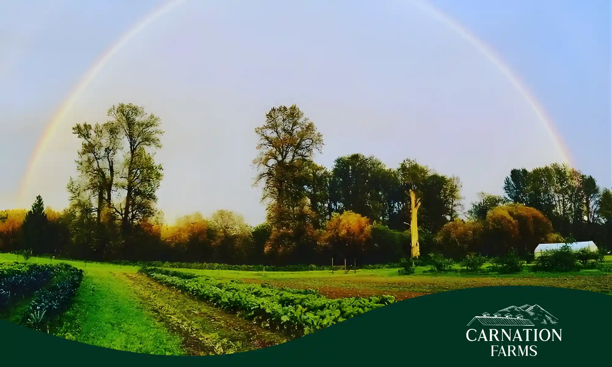 Carnation Farms field with rainbow showing regenerative agriculture landscape.