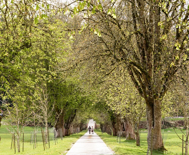 Get Involved Challenge Get Involved Challenge