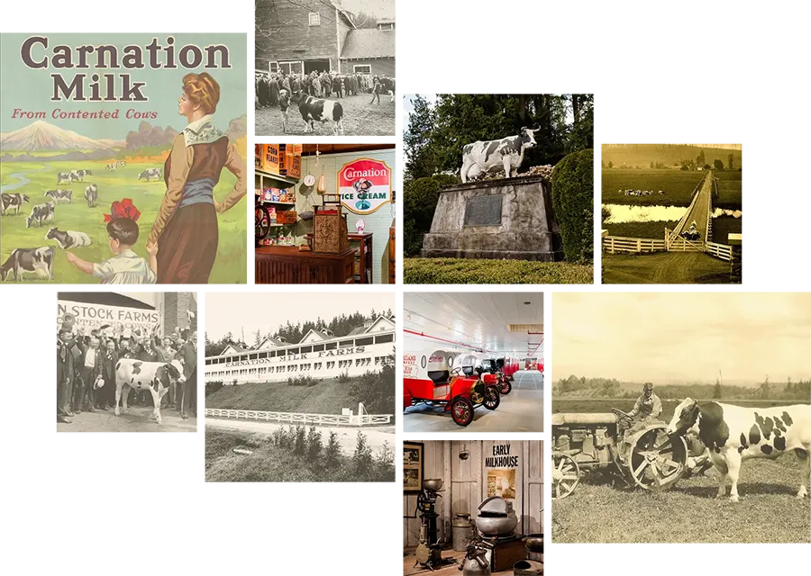 our-history
