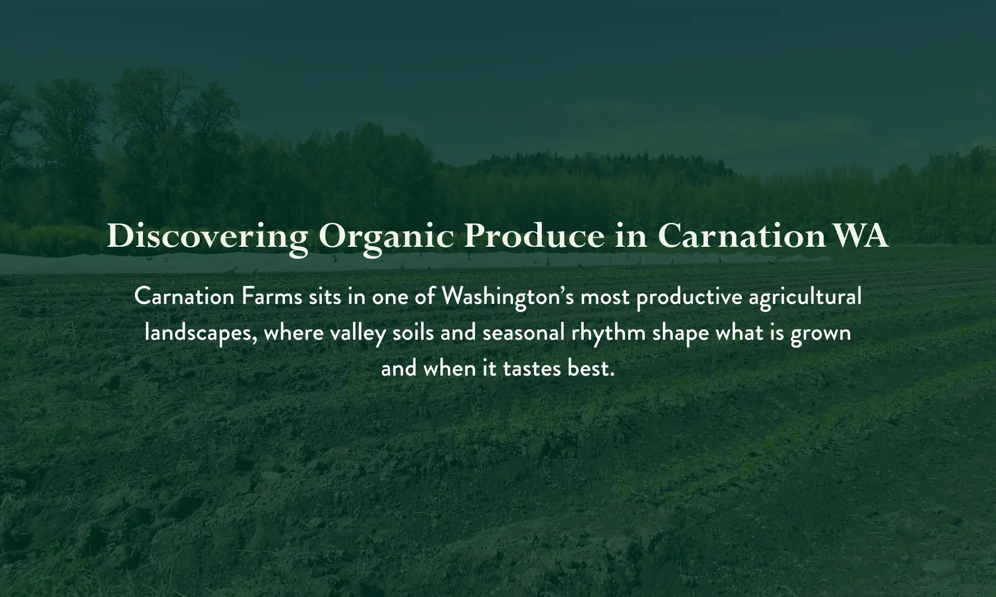 Organic produce fields at Carnation Farms in Carnation WA.