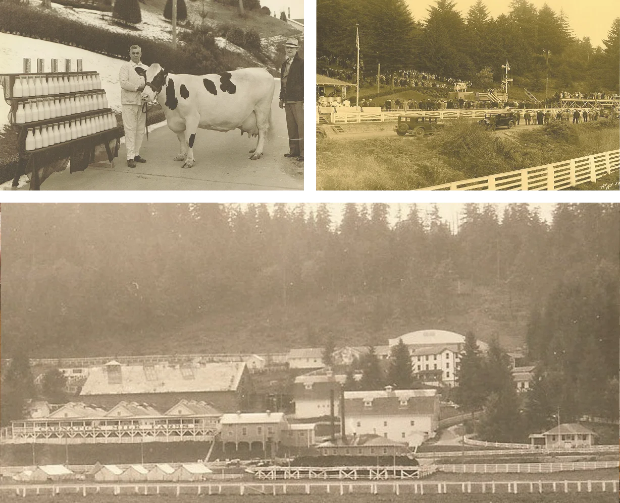 Our History - Collage Our History - Collage