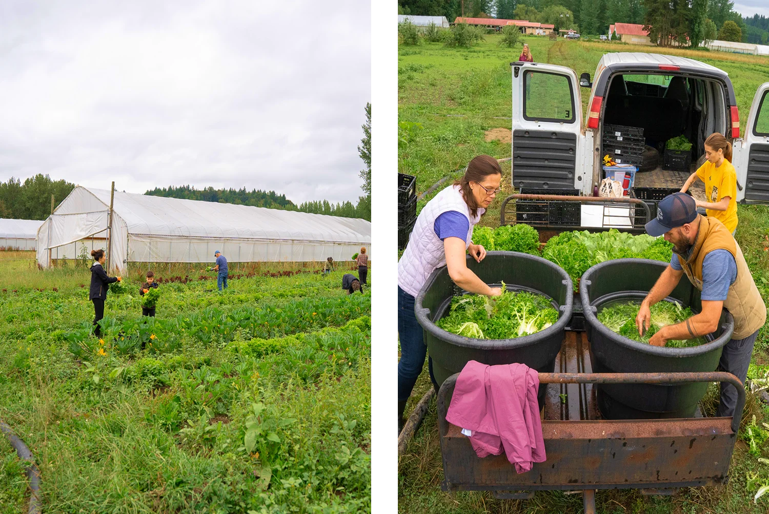 Our Programs - Collage