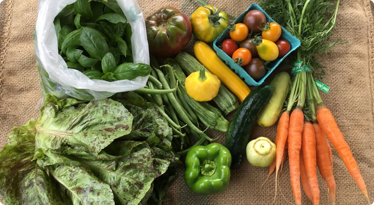 Our Roots - Farm Box Program