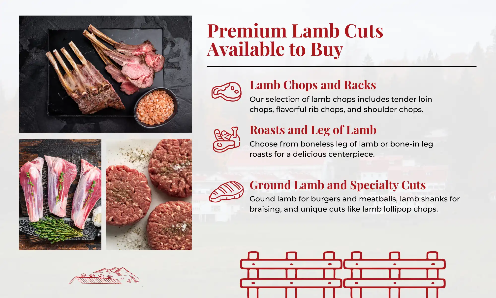 Premium Lamb Cuts Carnation Farms | Carnation Farms Infographic of premium lamb cuts including chops, roasts, and specialty selections