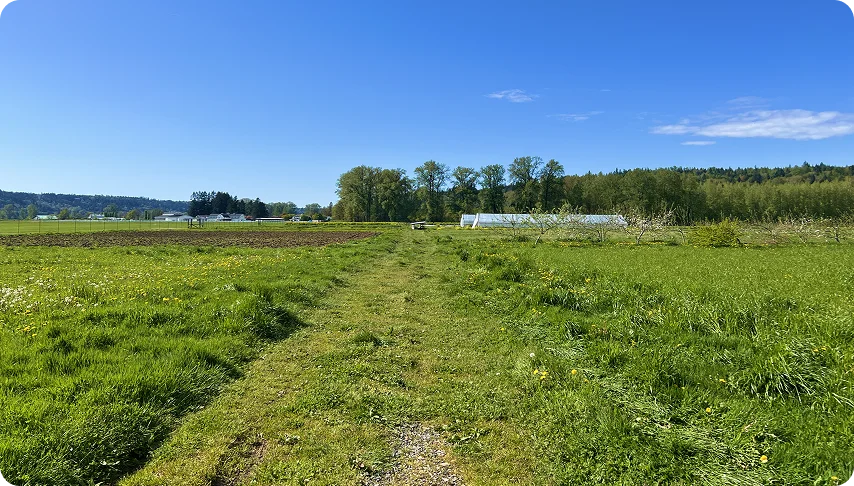 Regenerative Agriculture