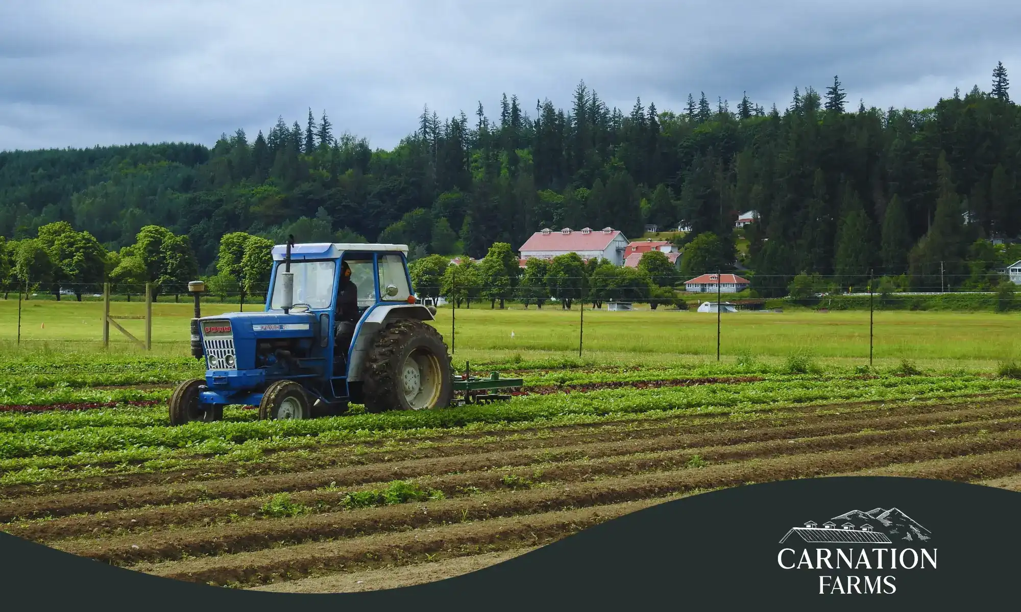 Regenerative farming tractor at Carnation Farms field