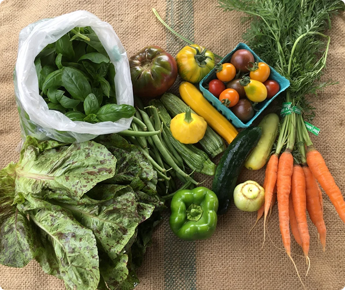Roots - Programs - Farm Box