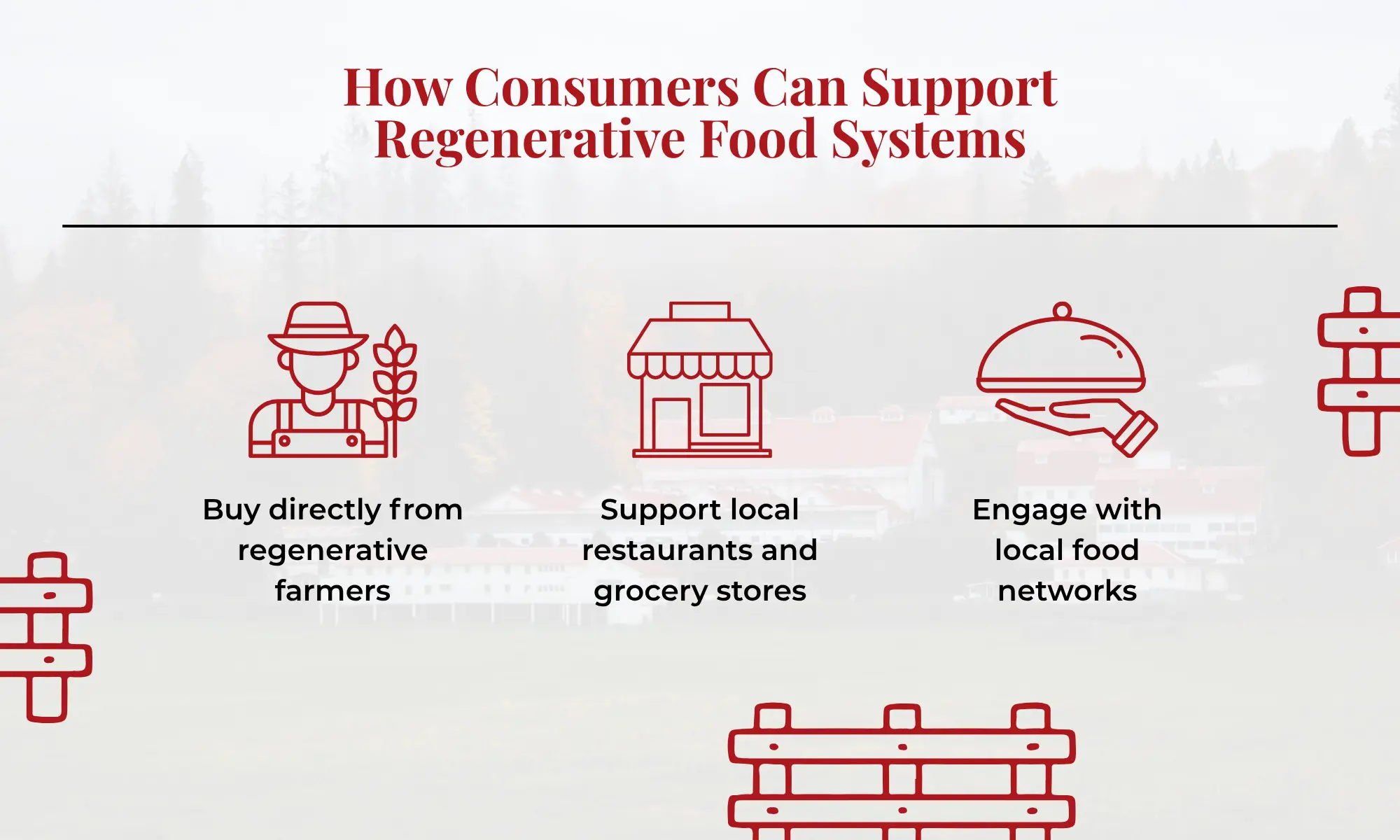 Support Regenerative Food Systems | Carnation Farms Infographic showing ways consumers can support regenerative food systems