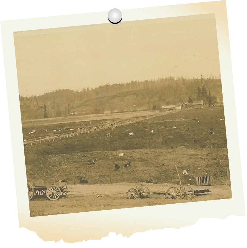 Timeline 1908 Timeline 1908