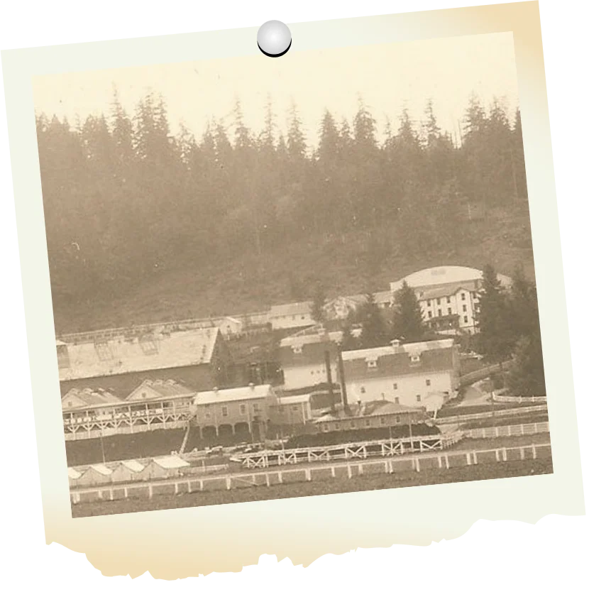 Timeline 1912 Timeline 1912