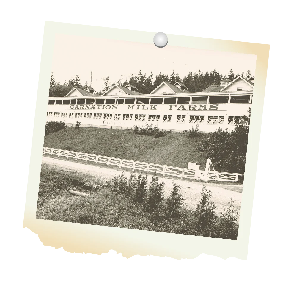 Timeline 1924 Timeline 1924