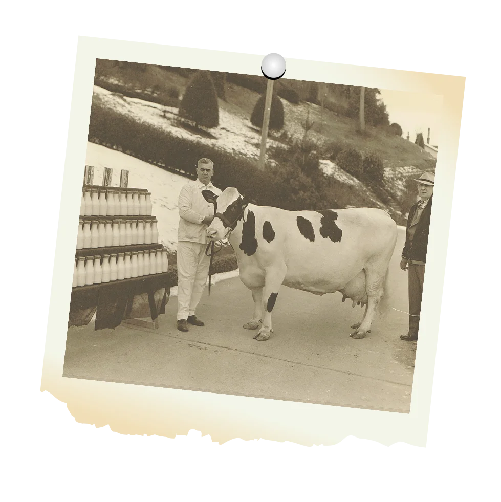 Timeline 1936 Timeline 1936