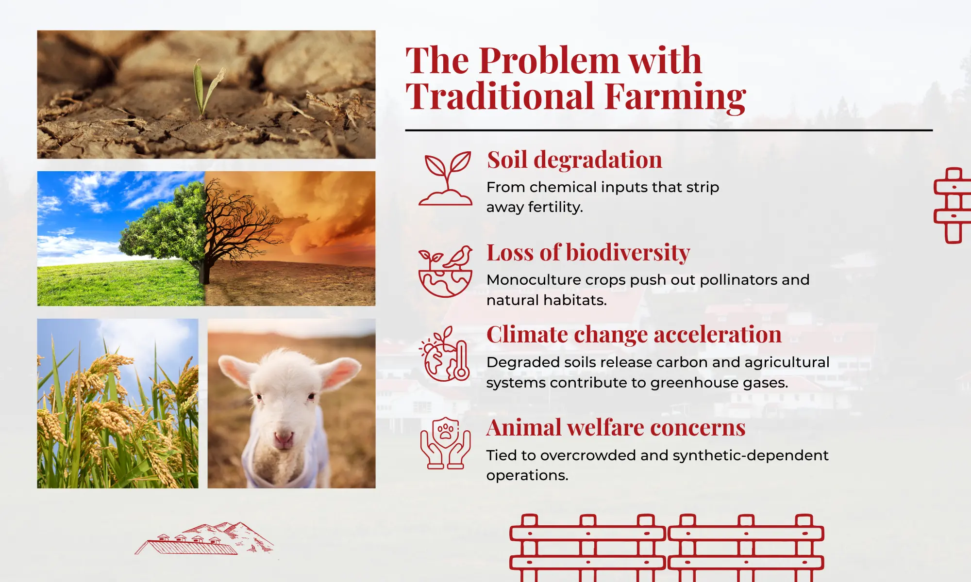 Traditional Farming Environmental Impact | Carnation Farms Infographic showing problems with traditional farming and environmental impact